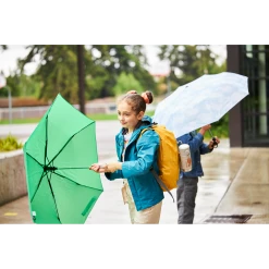 Buy ⌛ Stanley The Wild Imagination Flowsteady™ Bear Cub Bottle | 12 OZ 💯 -Outlet Serve Gleam Store B2B Web PNG Stanley YouthSeries OceanStewards 060522 501A2439