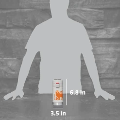 Buy ⌛ Stanley The Wild Imagination Flowsteady™ Bear Cub Bottle | 12 OZ 💯 -Outlet Serve Gleam Store B2B Web PNG The FlowSteady Bear Cub Bottle 12oz Ash PT05