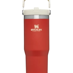 Buy 🔥 Stanley The IceFlow Flip Straw Tumbler | 30 OZ ✔️ -Outlet Serve Gleam Store B2B Web PNG The IceFlow Flip Straw Tumbler 30OZ Carnelian Front