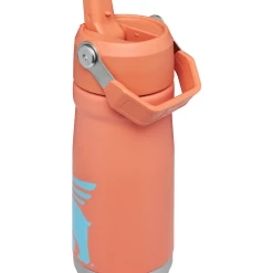 Outlet Serve Gleam Store -Outlet Serve Gleam Store B2B Web PNG The IceFlow Flip Straw Water Bottle 17oz Grapefruit Hero Back