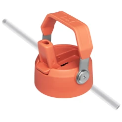 Flash Sale 🛒 Stanley The Wild Imagination IceFlow™ Flip Straw Water Bottle | 17 OZ 👍 -Outlet Serve Gleam Store B2B Web PNG The IceFlow Flip Straw Water Bottle 17oz Grapefruit Lid Straw Detail