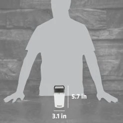 Hot Sale ❤️ Stanley Adventure Shortstack Travel Mug | 8 OZ ✔️ -Outlet Serve Gleam Store Web LIfestyle STANADV8OZSHORTTRAVMUGPOLAR